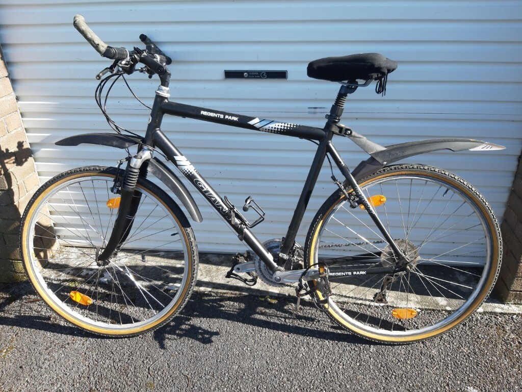 giant regents park bike